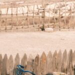 Bike Drafting - A blue bicycle leaning against a wooden fence